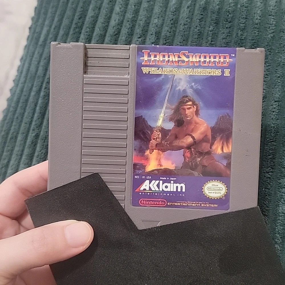 Iron Sword Wizards & Warriors 2
